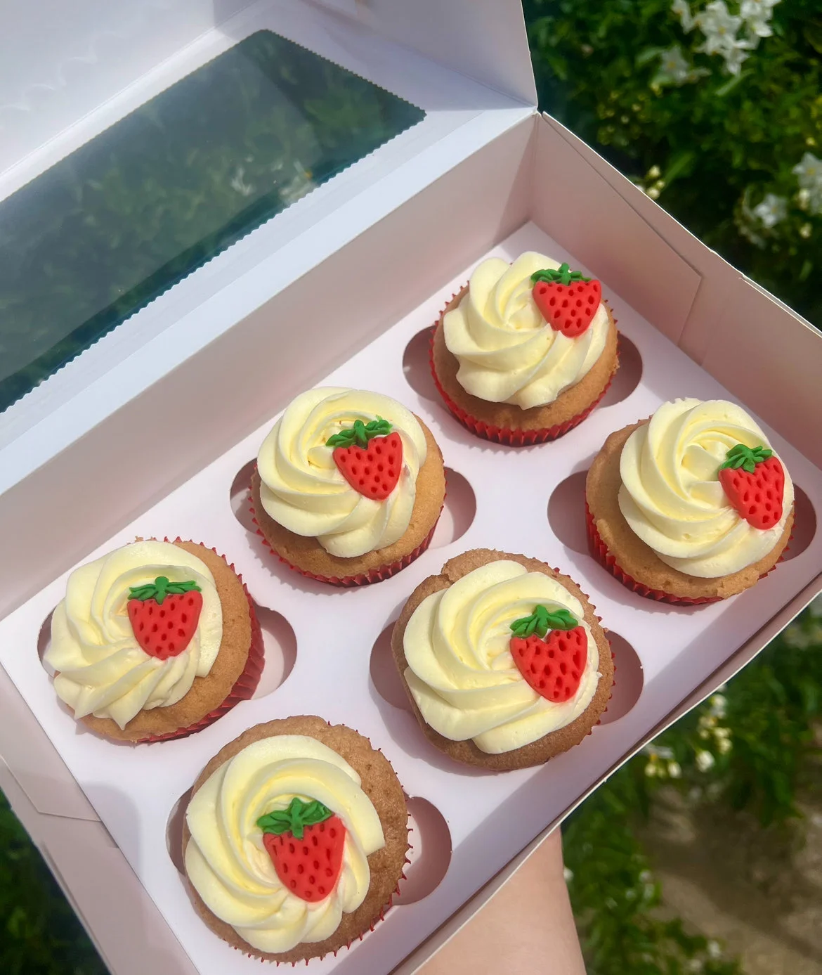 Set flavour cupcakes